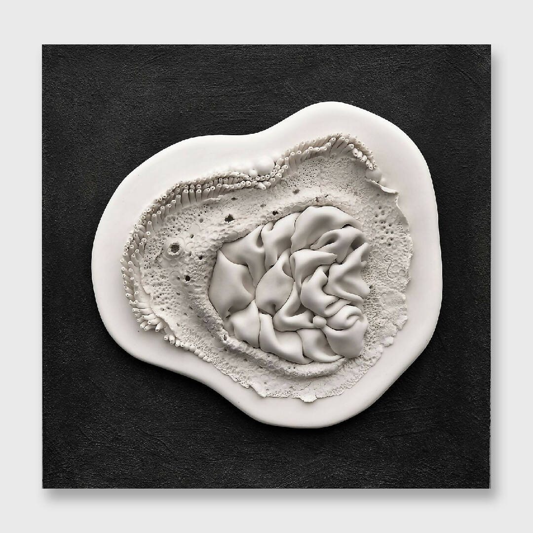 Bas relief tableau porcelaine collection nature | EMPREINTES Paris | EMPREINTES Paris