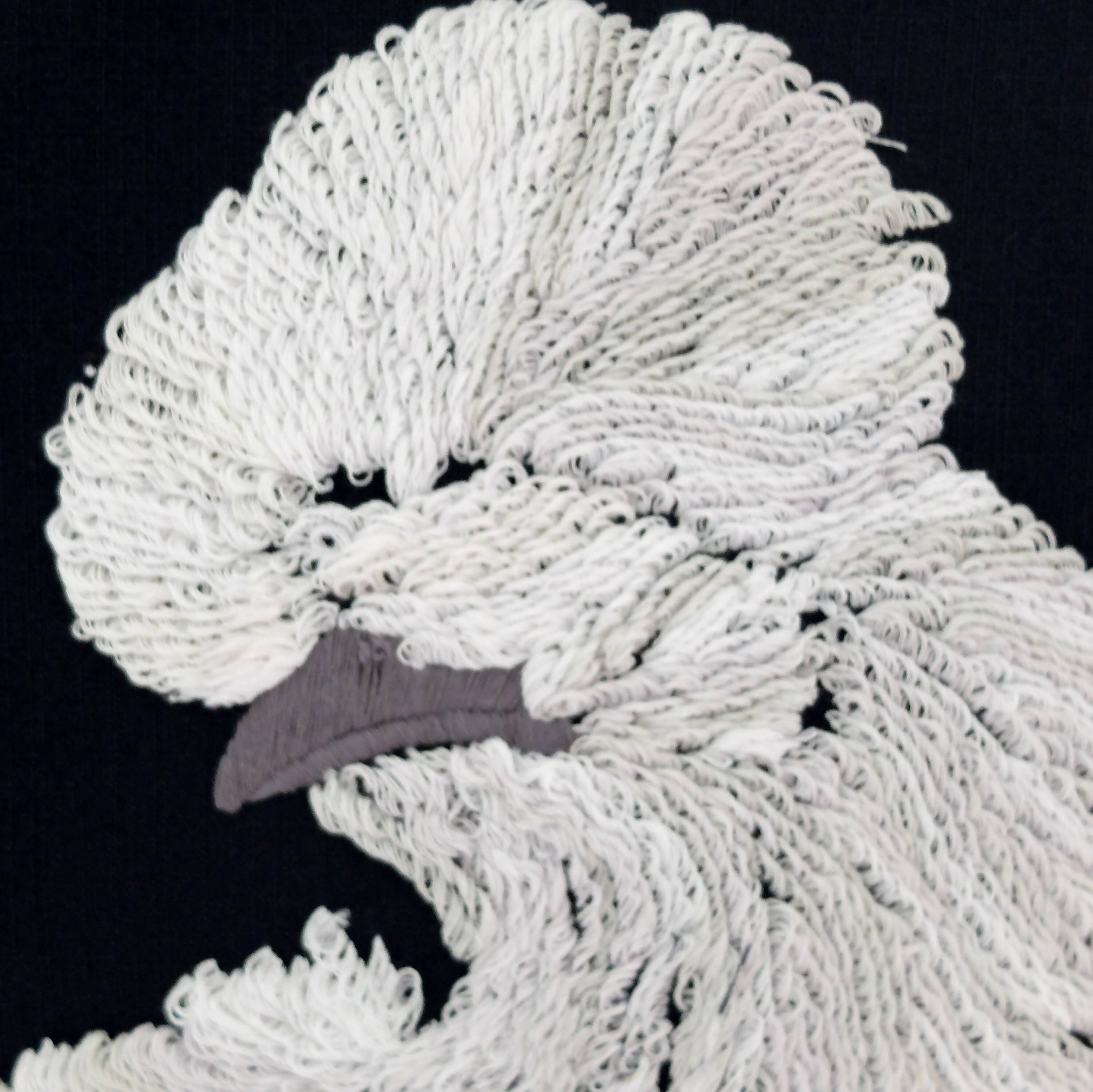 Tableau poule soie | EMPREINTES Paris