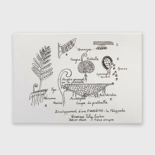 oKVDUOu1gv | EMPREINTES Paris - EMPREINTES Paris