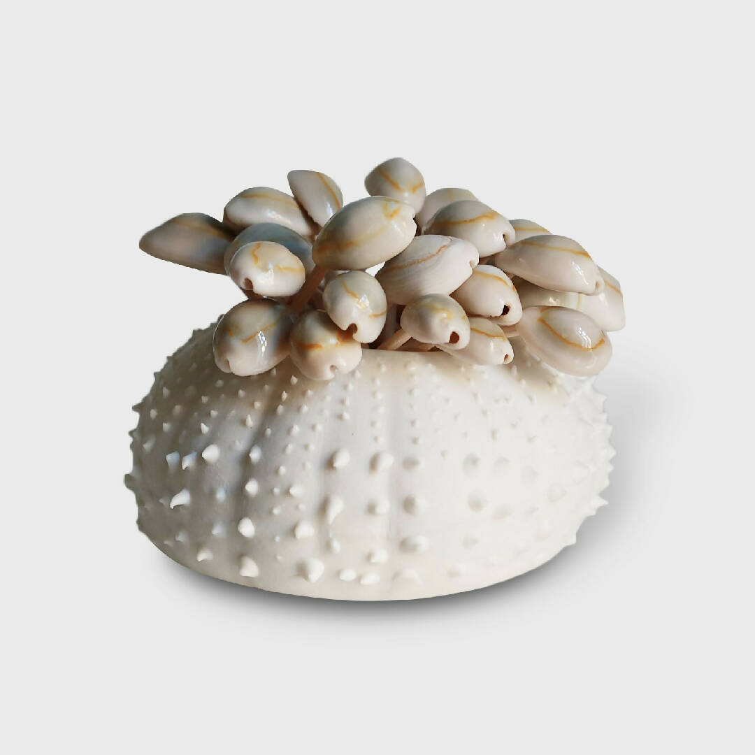 Oursin pique Apéro | EMPREINTES Paris