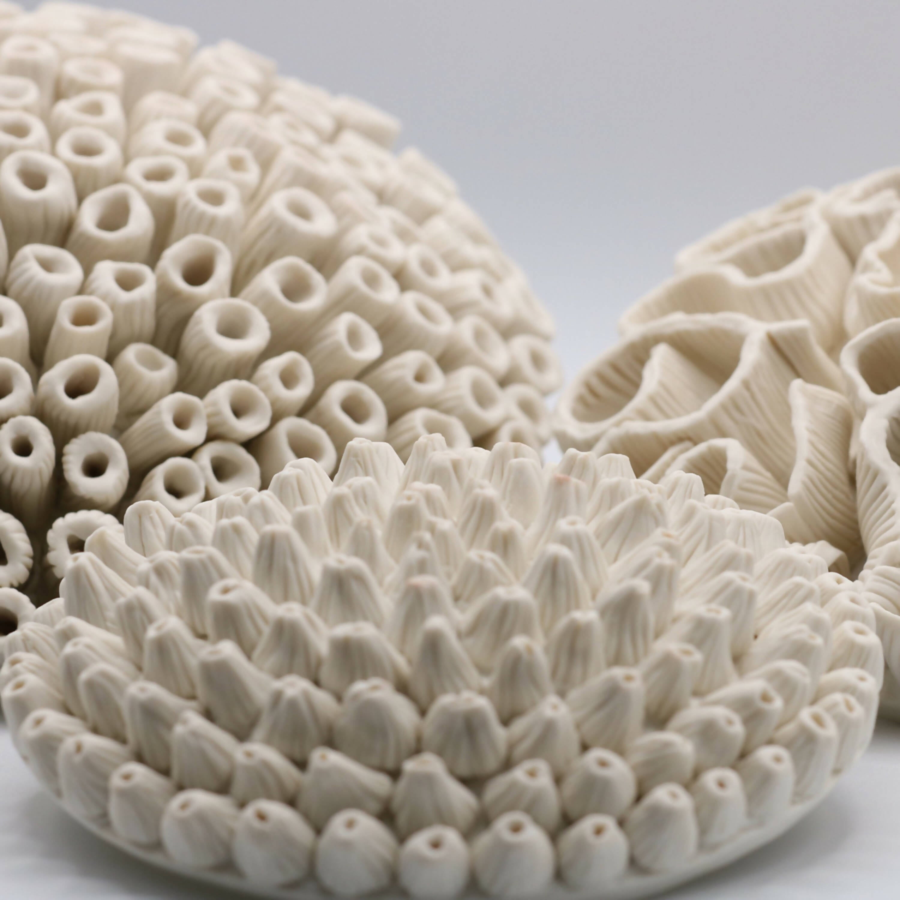 Sculpture Médaillon corail | EMPREINTES Paris