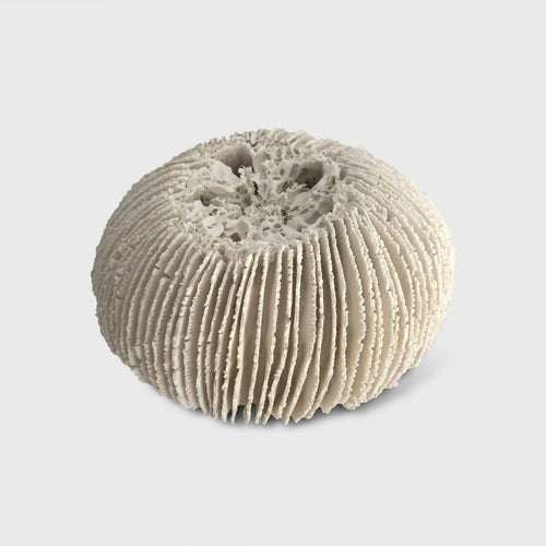 Sculpture lumineuse Abysse 6 | EMPREINTES Paris - EMPREINTES Paris