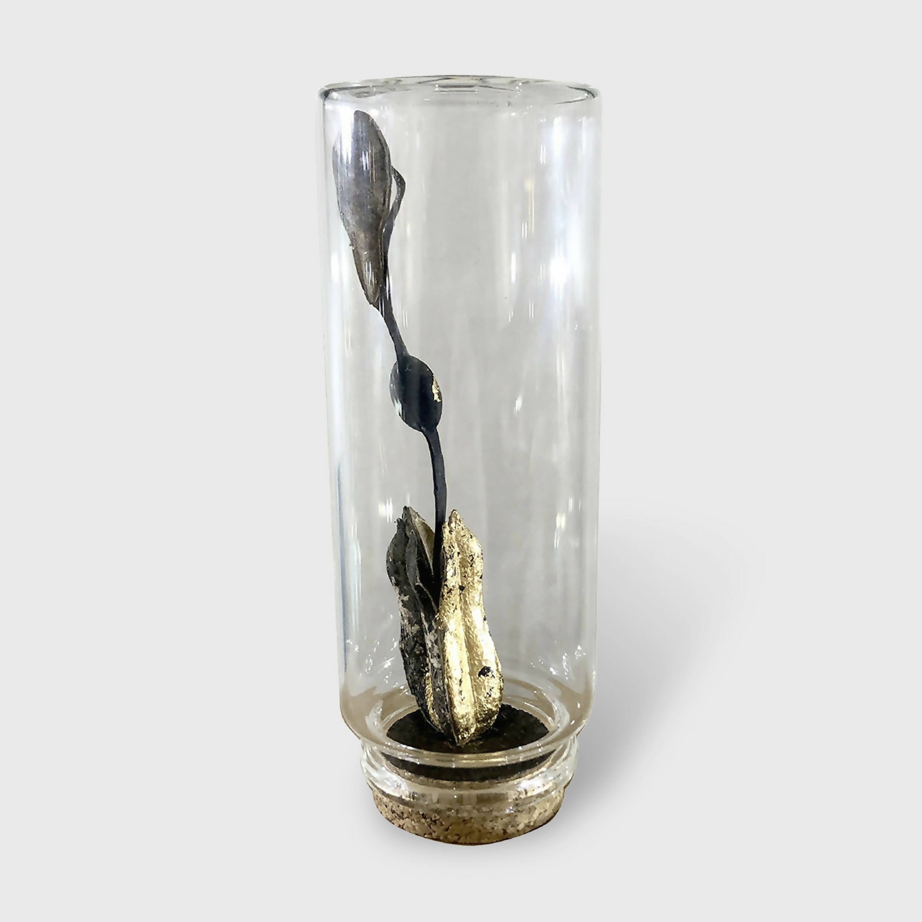 Composition Antenne | EMPREINTES Paris