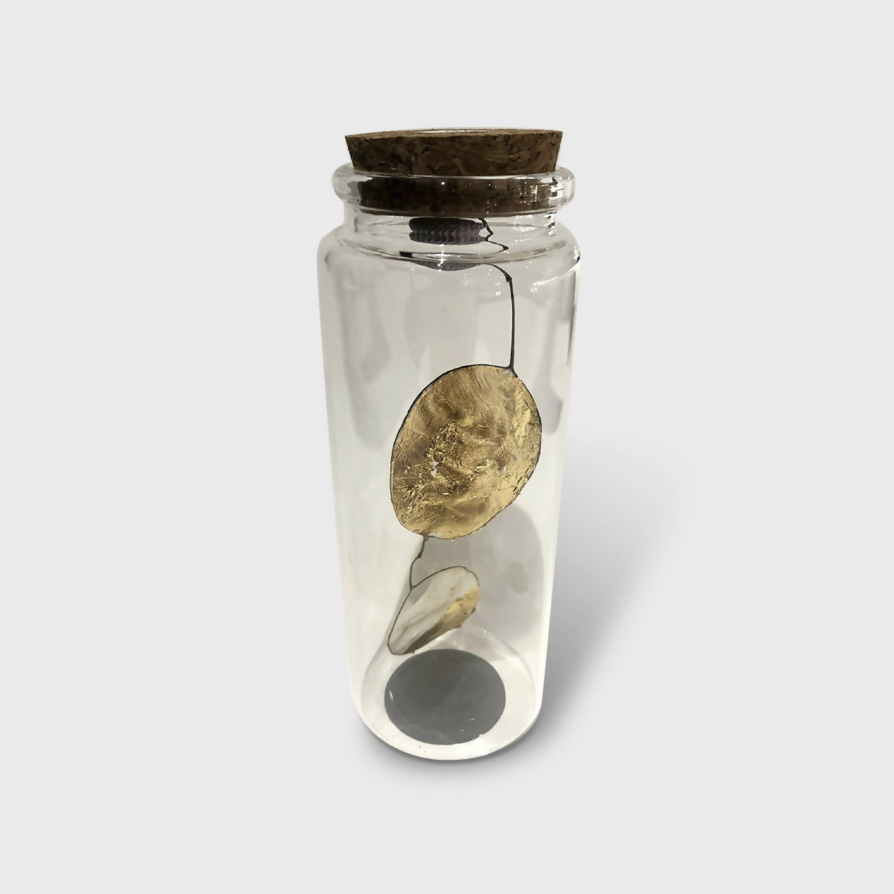 Compostition Pétales | EMPREINTES Paris