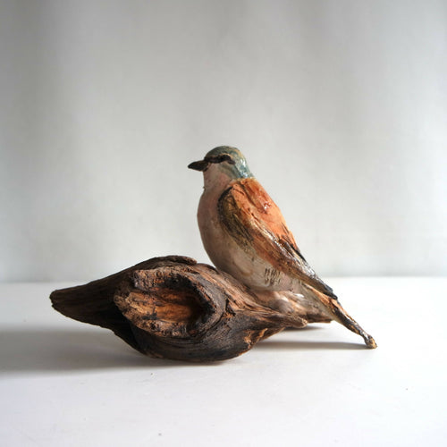 Sculpture Pie grièche sur fragment de bois | EMPREINTES Paris - EMPREINTES Paris