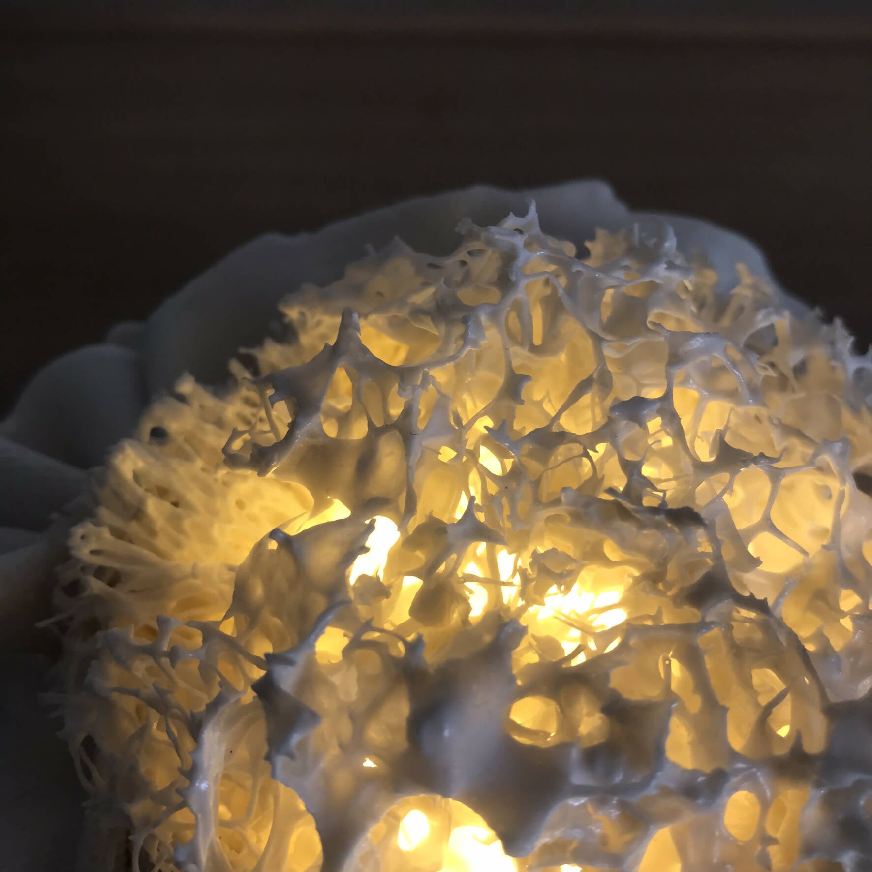 OcfAY1T51m | EMPREINTES Paris