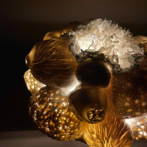 Sculpture Abysse lumineuse 19 | EMPREINTES Paris - EMPREINTES Paris