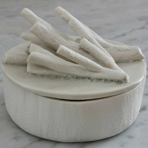 Boîte en porcelaine coraux | EMPREINTES Paris - EMPREINTES Paris