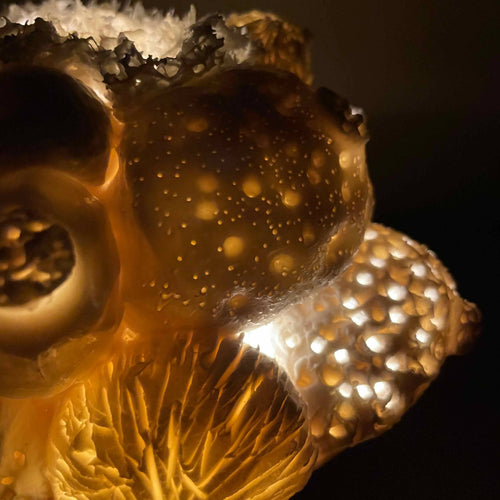 Sculpture Abysse lumineuse 19 | EMPREINTES Paris - EMPREINTES Paris