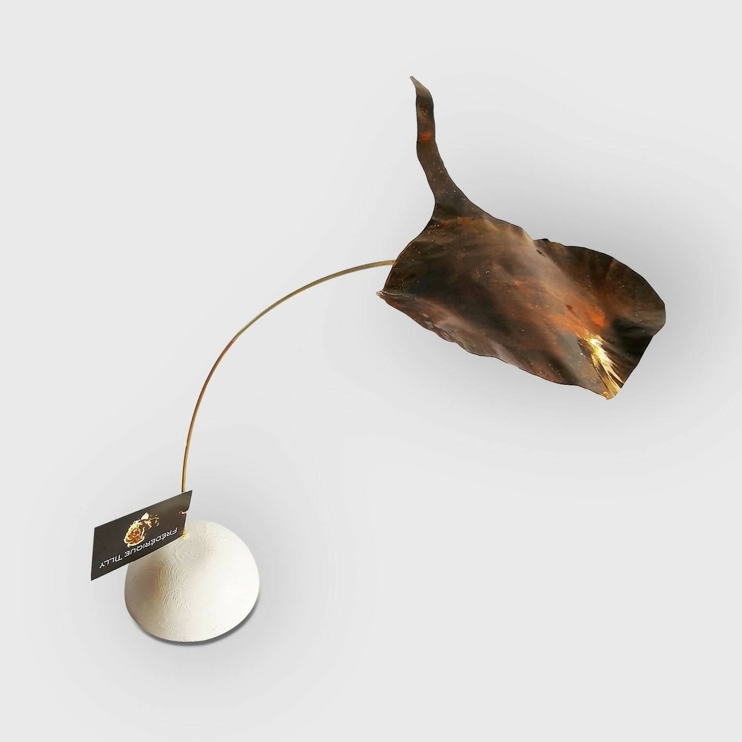 Raie mobile | EMPREINTES Paris