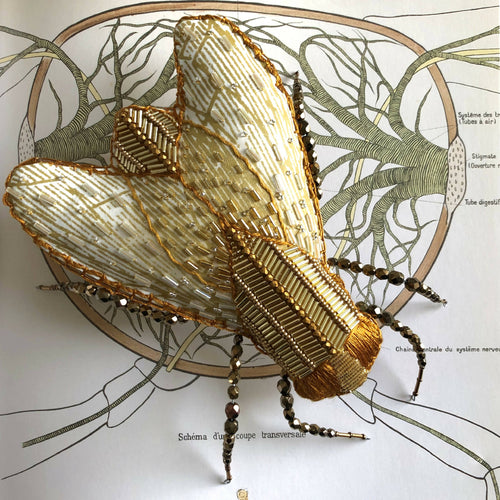 Bijoux de mur LA COQUETTE DOREE | EMPREINTES Paris - EMPREINTES Paris