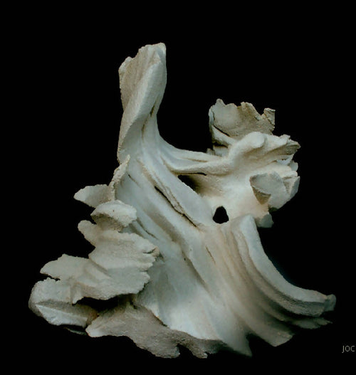 Sculpture PLI-EX-NATURA 2 | EMPREINTES Paris - EMPREINTES Paris