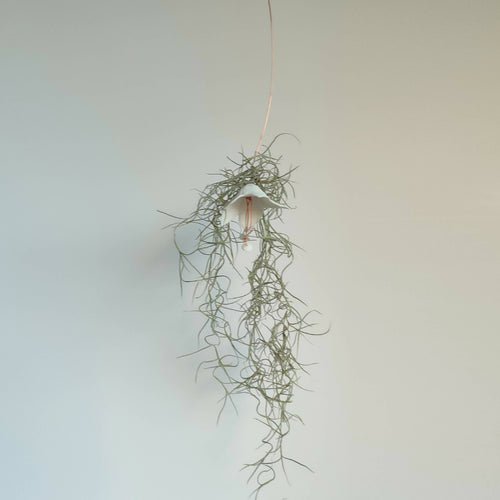 Suspension Flower Power (FP007) | EMPREINTES Paris - EMPREINTES Paris